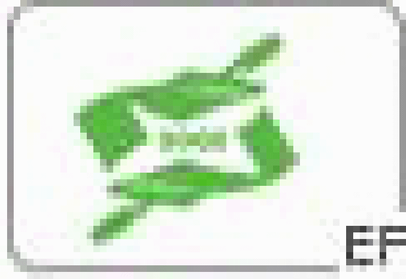 第五屆溫州國際表面處理及環保技術展覽會