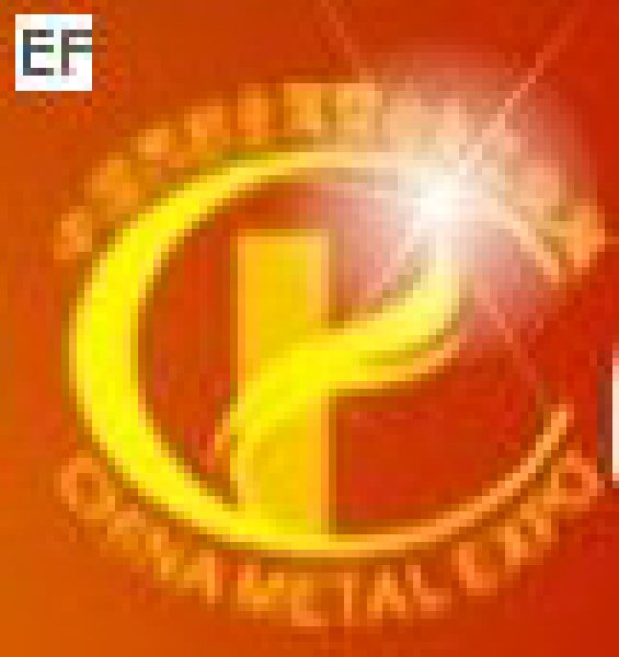 CMPI2008第八屆中環(huán)金屬展