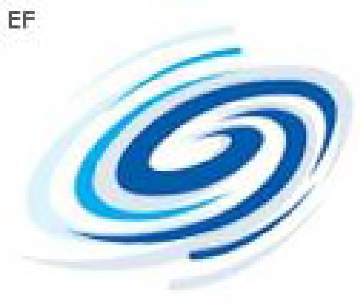 第9屆中國國際展覽和會議展示會