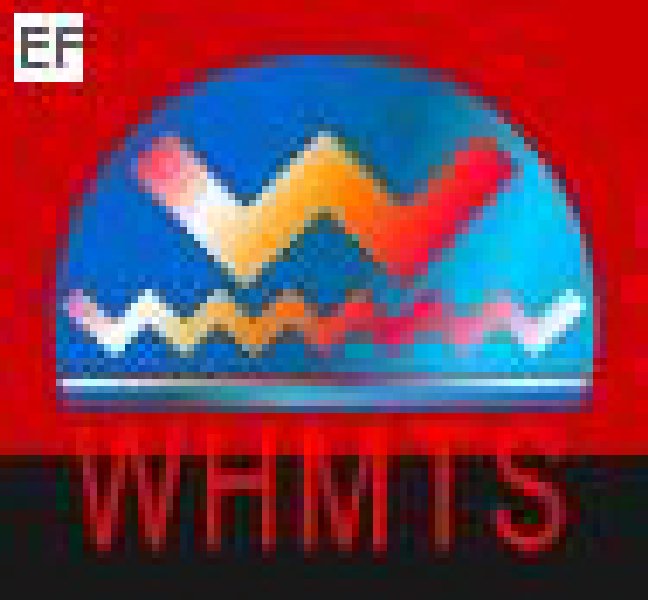 2008華中地區(武漢)第五屆機床工具展覽會