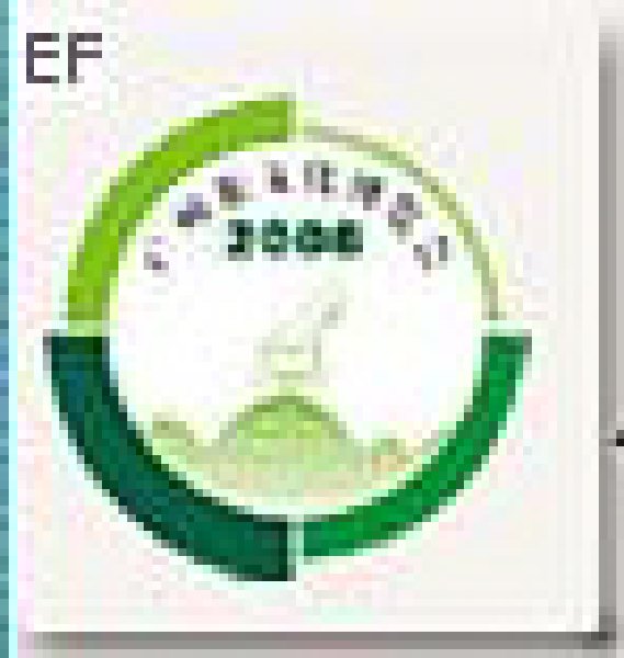 2008廣州茶文化博覽會(huì)