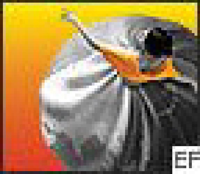 香港時裝節2008(秋冬系列)<br>香港國際時尚薈萃2008