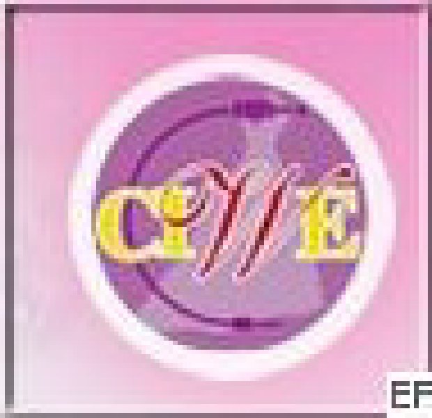 第十三屆中國上海國際婚紗攝影器材展覽會