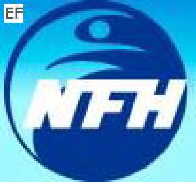 2008上海國(guó)際營(yíng)養(yǎng)、運(yùn)動(dòng)與健康大會(huì)暨展覽會(huì)