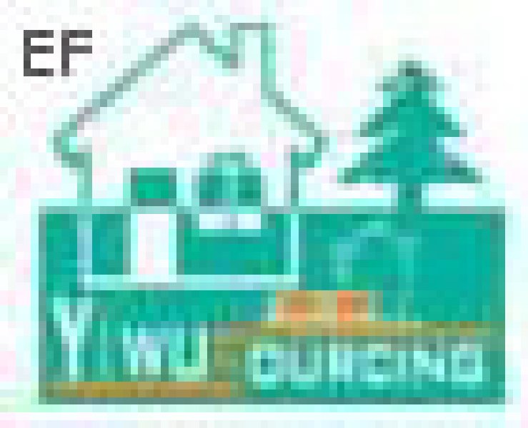 2009年第四屆義烏春季消費品出口交易會