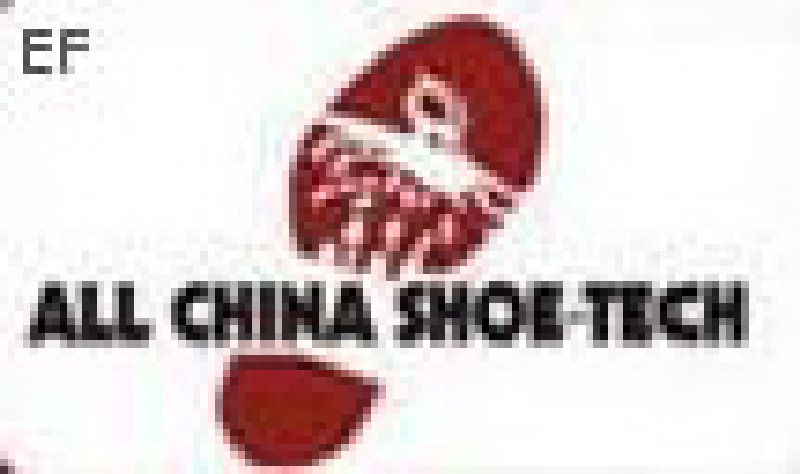 2008國際鞋類制造技術(shù)和材料展覽會
