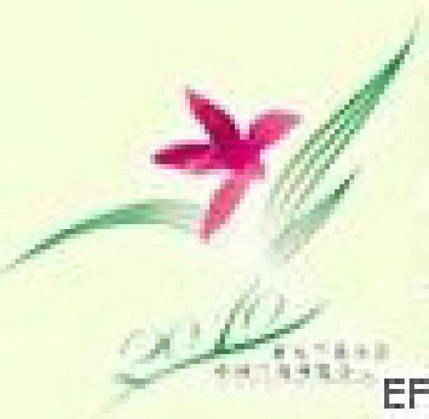 2010第10屆亞太蘭花大會暨第20屆中國蘭花博覽會