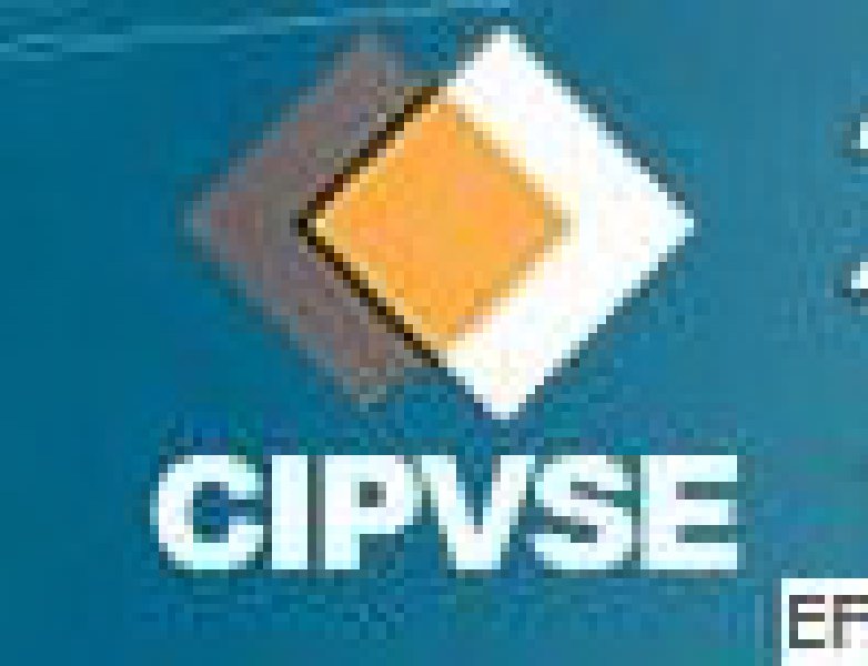 2010第十一屆(春季)中國國際泵、閥密封展覽會