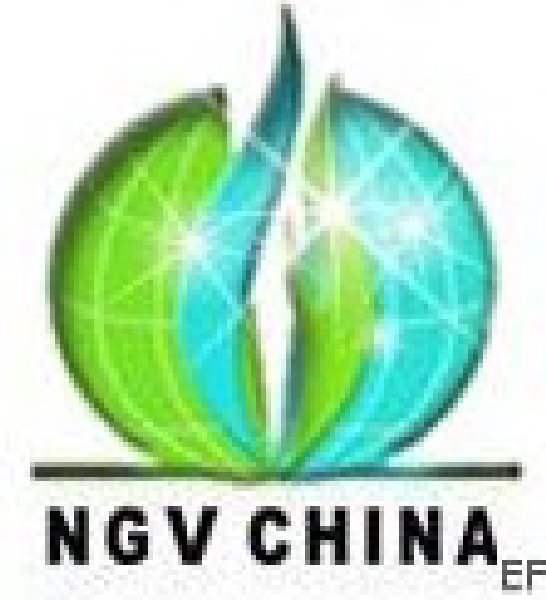 2010第十一屆中國國際天然氣汽車、加氣站設(shè)備展覽會暨高峰論壇