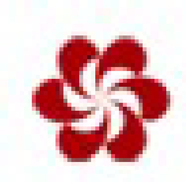 第107屆中國進出口商品交易會(第一期)