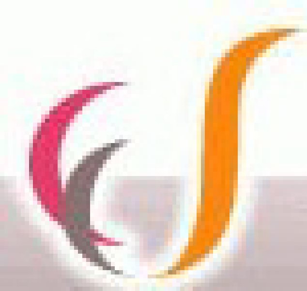 2010第三屆中國國際羊絨交易會