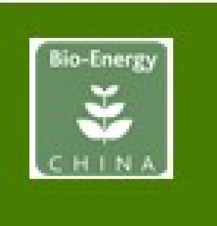 CIBEEXPO2012第四屆中國國際生物質(zhì)能展覽暨技術(shù)研討會