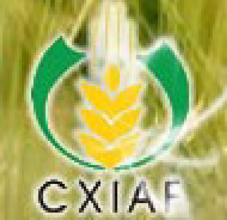 2011第十一屆新疆國際農業(yè)博覽會