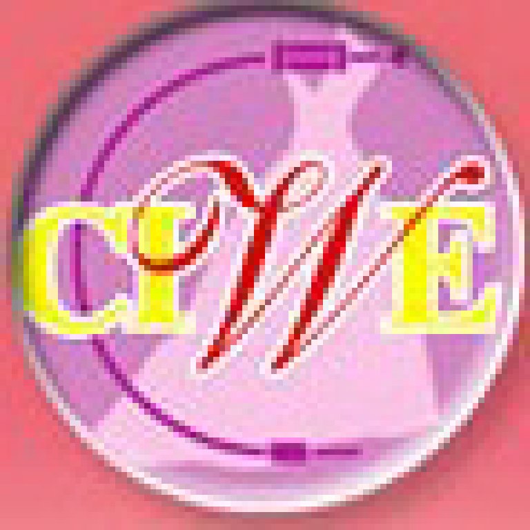 2011第二十屆中國上海國際婚紗攝影器材展覽會<br>暨國際兒童攝影、主題攝影展覽會