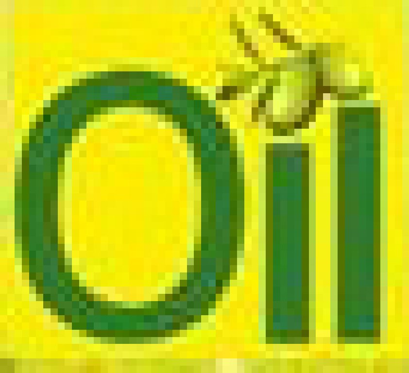 2011廣州國際食用油及橄欖油展覽會