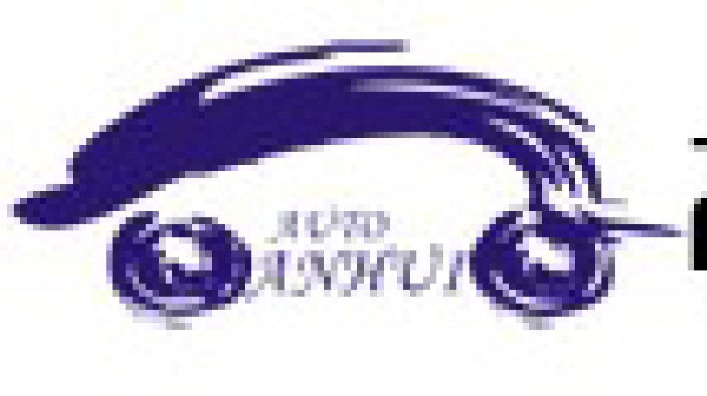 2011第八屆中國(guó)安徽國(guó)際汽車展覽會(huì)