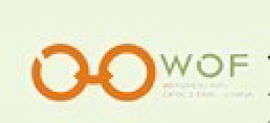 2012第十屆中國(溫州)國際眼鏡制造業展覽會