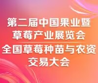 2025第二屆中國合肥果業暨草莓產業展覽會全國草莓種苗與農資交易大會